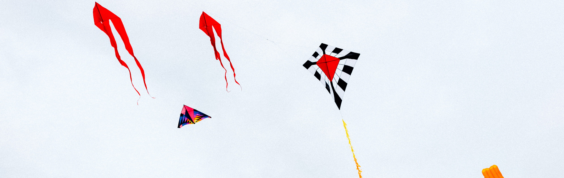 Amazing Ahmedabad Kite Festival