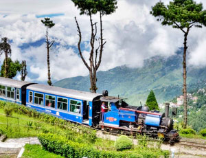 Darjeeling - Gangtok Family Package
