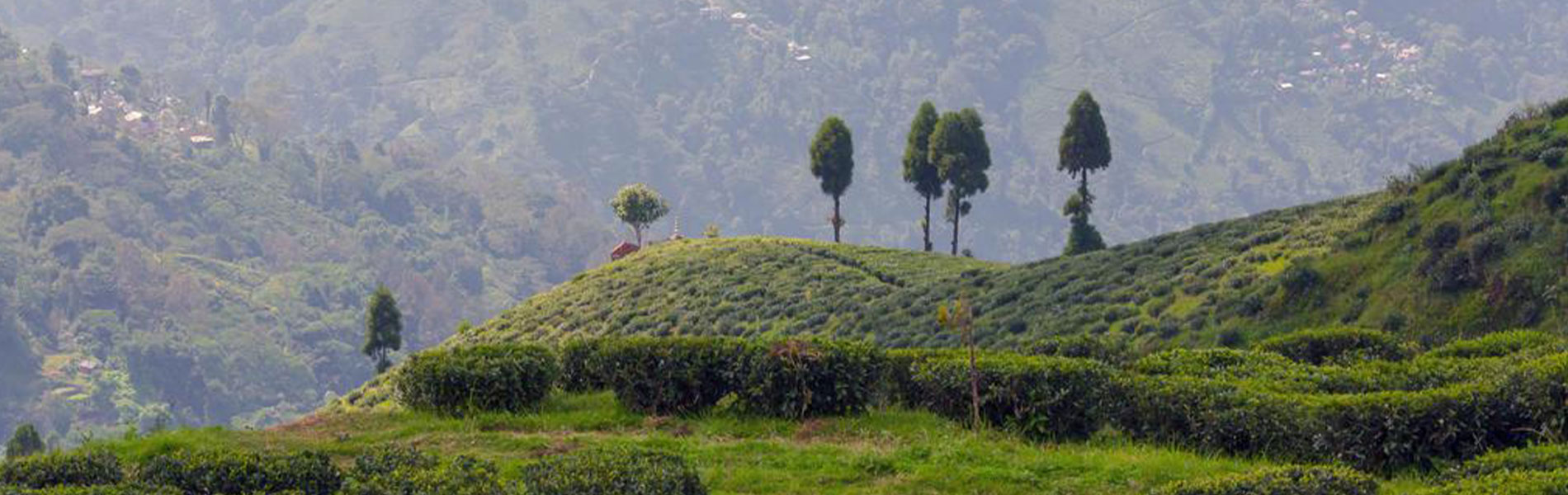 Sikkim Special Package