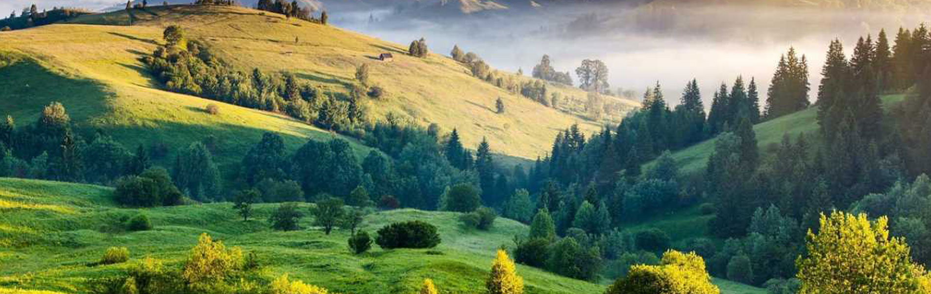 Incredible South India