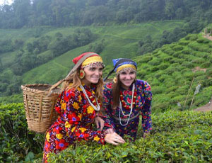 Sikkim Special Package