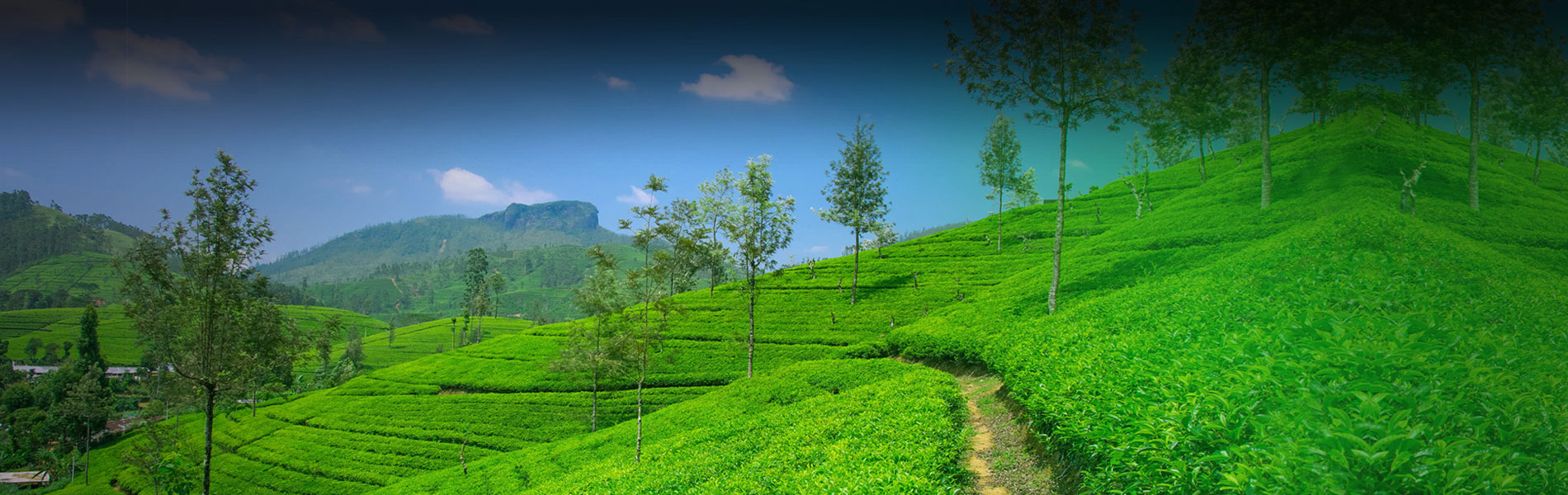 Marvelous Kerala