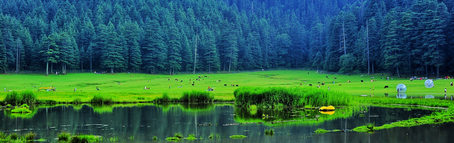 Himalayan Wonder With Chandigarh